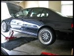IMG_3883_resized.jpg
