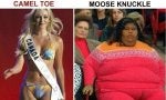 camel-toe-moose-knuckle.jpg