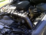 IMG-20110622-00341.jpg