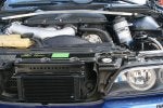 IMG_8320.JPG